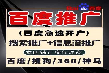 SEM广告投放优化案例研究